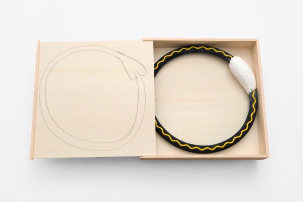 Inge Mahn, Schlange, 1982/2016, rubber tube, plaster, drawing on wooden box, an edition of 10, plus 10 AP, signed and numbered, photo: Uwe Walter