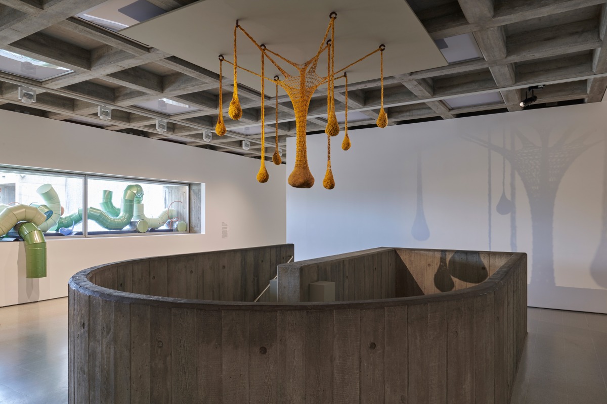 Installation view: When Forms Come Alive, courtesy the Hayward Gallery, photo: Jo Underhill